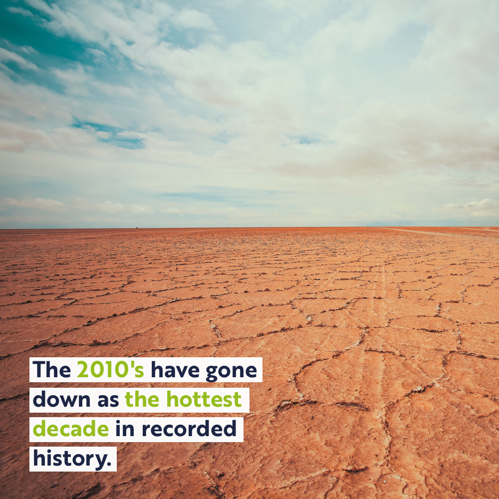 Verto Homes tweet media