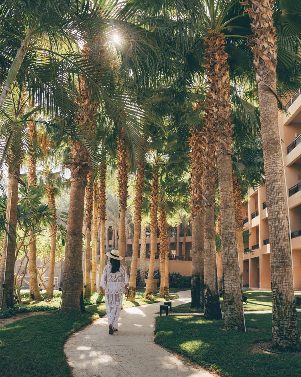 DusitCairo's tweet photo. Lush green and absolute serenity, we're truly Dusit Thani, translated from Thai, meaning "A Town in Heaven".

#DusitCairo https://t.co/MiizJXAavU
