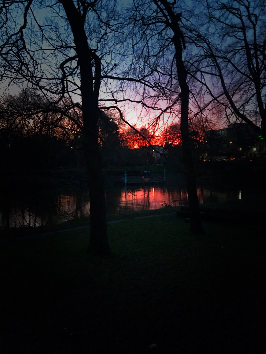 Thomas Anthony Evans tweet media