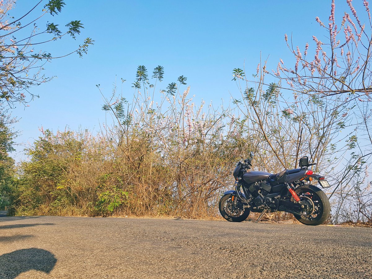 driftcat123's tweet photo. Tis the riding season!!
#moto #motorcycle #harleydavidson #harley #hdstreetrod #spring #bloom #riding #Seasons #vtwin #superbike #caferacer #twin #findyourfreedom #freedommachine #ride #rideordie #biker #motolife #morningmotivation #kerala #retweet @HarleyIndia @harleydavidson https://t.co/7IZGZniL71
