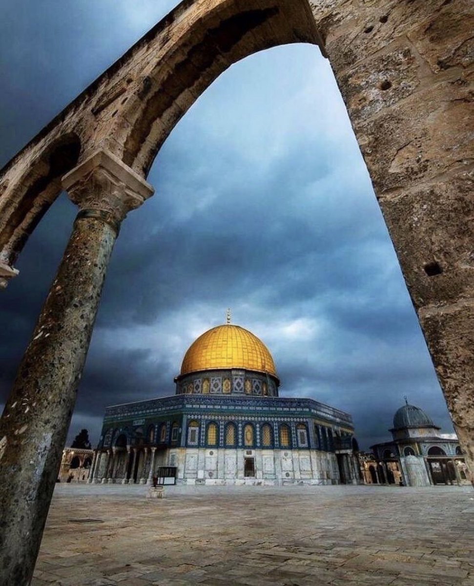 ronetashour's tweet photo. This land does not accommodate two identities, either we or we ✌🏻🇵🇸 

#تسقط_صفقة_القرن 👎🏻 https://t.co/MT7b53Ve96