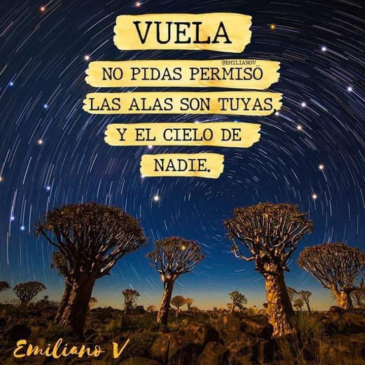 vidalaurayoga's tweet photo. Buenos días!
Bon dia!
Solo necesitamos nuestro permiso para emprender nuevos caminos, proyectos, relaciones...., lo que deseemos.
#ProfesoraYoga #YogaValencia https://t.co/s3R7VPxmAt