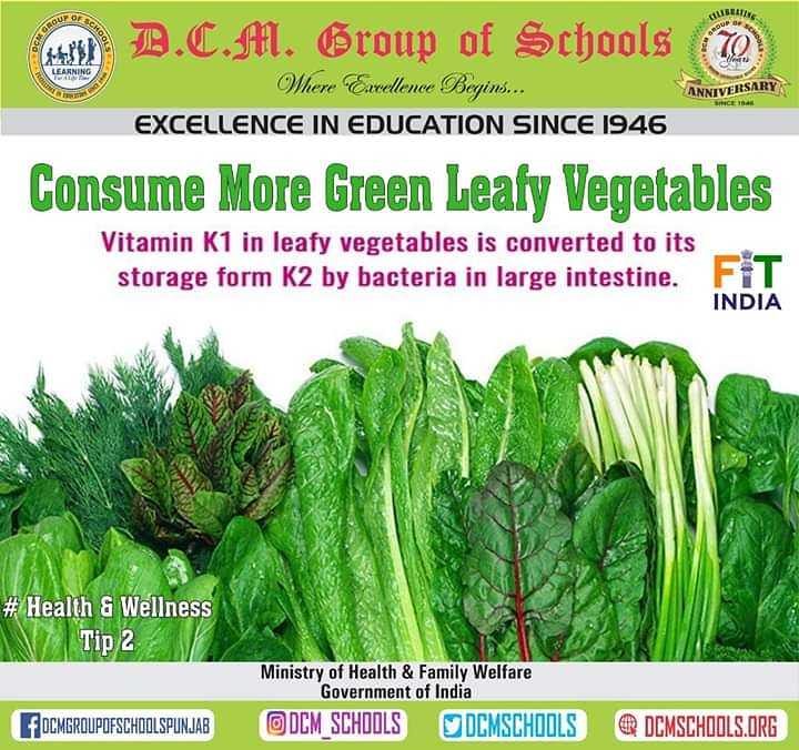 DCMPresidency's tweet photo. Eat Your Greens !🥦🥬🥒🥗
#BeHealthy #BeHappy
#SchoolNutritionProgram
#FitIndia https://t.co/gpTi7fsTSR