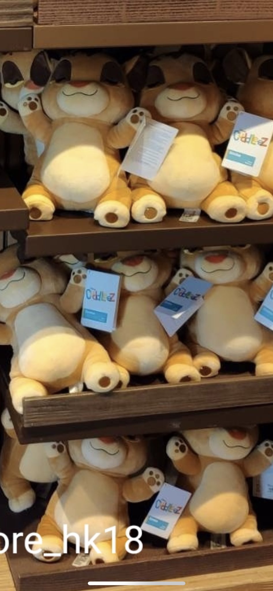 香港ディズニーグッズ代行 クッキーストア シンバグッズも代行できます ポップコーンバケット5 000円 おくるみシンバ3 600円 大きいシンバぬいぐるみ4 0円 キャップ3 400円 複数ご購入で割引もできます 8 000円以上のご注文につきお