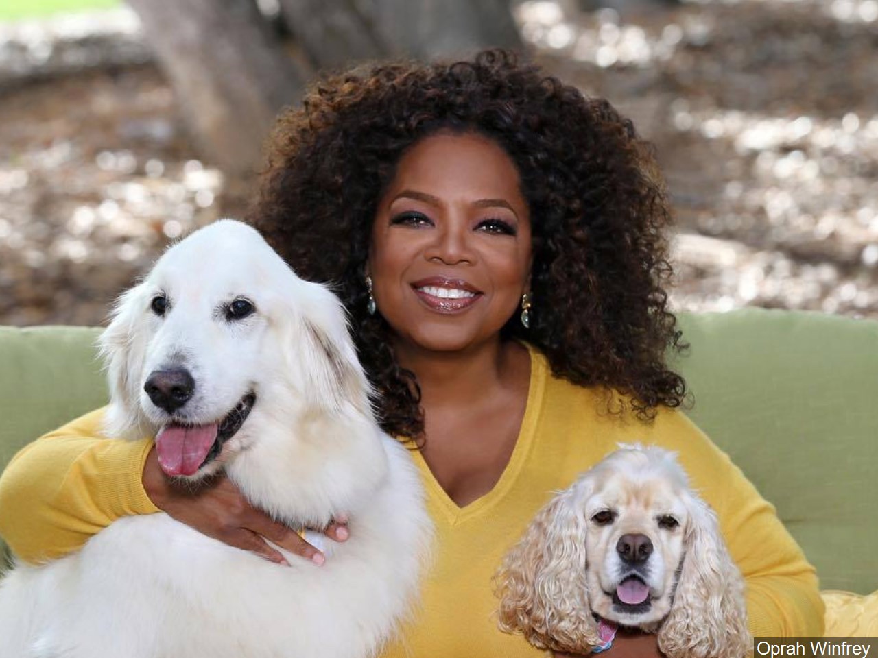    Happy Birthday Oprah Winfrey! The TV mogul turns 66 today.   