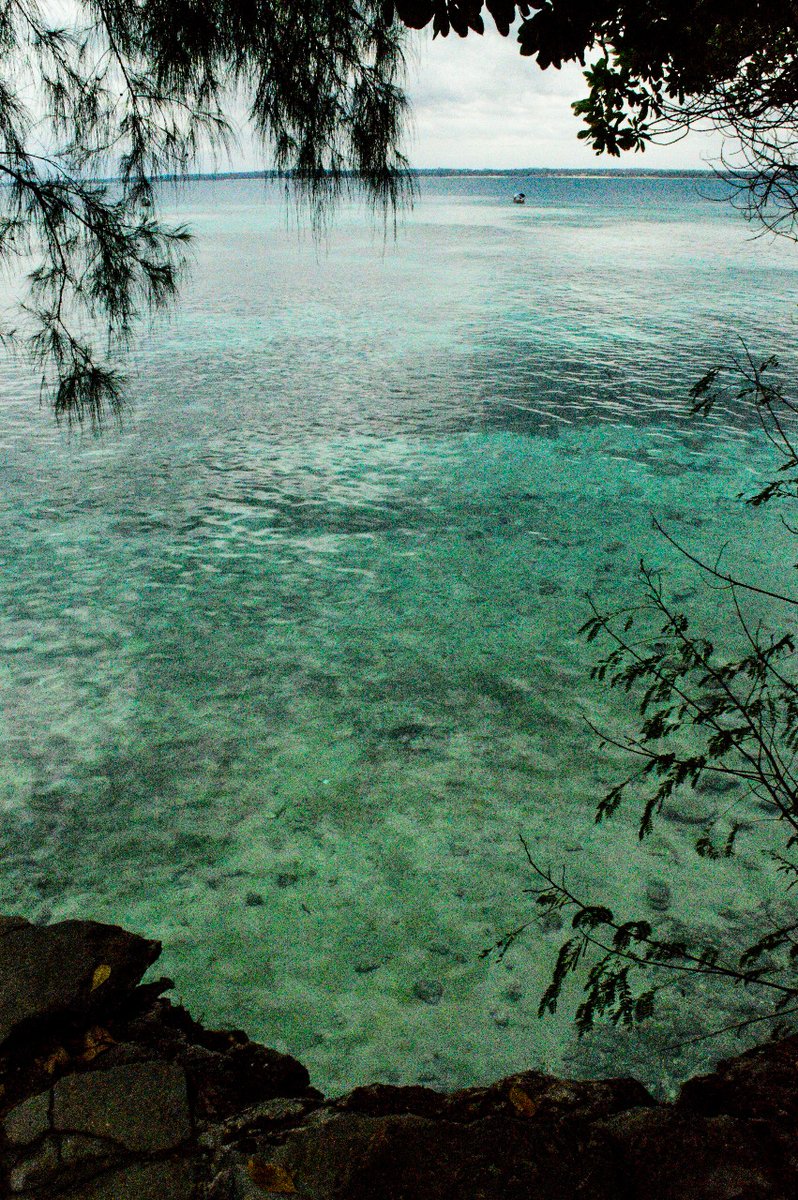 Aslanadventure's tweet photo. This is the view of the ocean from the prisoner drop off point at prison island. A beautiful site rich with history. https://t.co/v2Qim3kTNh