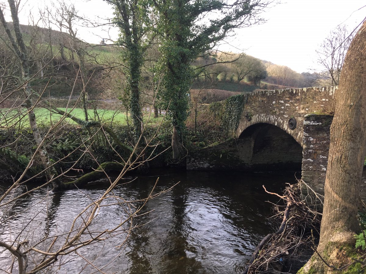 SouthDevonNL's tweet photo. Beautiful morning @AvonMill looking to site our new Avon Valley  #Walks panels #snowdrops #signsofspring #RiverAvon #OutstandingHour  #AONB #ExploreSouthDevon #NaturalHealthService @AONBFamily @hellokingsbridge  Visit South Devon @activedevon @thedrcompany https://t.co/bYlFPtIukf