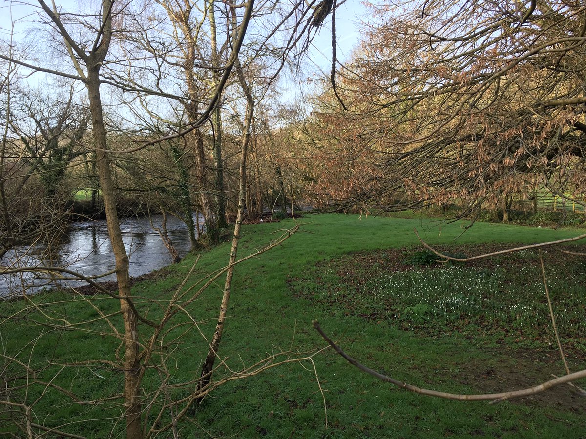 SouthDevonNL's tweet photo. Beautiful morning @AvonMill looking to site our new Avon Valley  #Walks panels #snowdrops #signsofspring #RiverAvon #OutstandingHour  #AONB #ExploreSouthDevon #NaturalHealthService @AONBFamily @hellokingsbridge  Visit South Devon @activedevon @thedrcompany https://t.co/bYlFPtIukf
