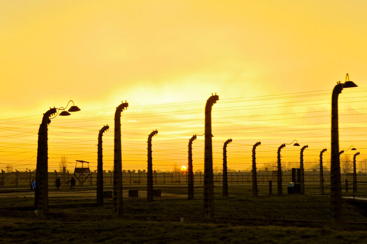 2020 marks 75 years of liberation of #Auschwitz and 75 years of the @UN.

Tune in tomorrow to observe the International #Holocaust Remembrance Day organised by @UNinIndia w/ @IsraelinIndia @alliancefrdelhi @unesconewdelhi to recall past crimes towards preventing future ones.