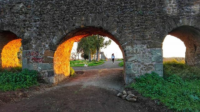 cranfan84's tweet photo. Archi al tramonto con canetto.
24/01/2018
#memories #latergram #motog6plus #motophotography #motoitalia #park #sunset #seguilavolpe #acquedotti #winter #nature https://t.co/sVdHZV6bI9 https://t.co/fas0H9bRMe