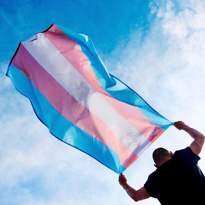 socialbasebr's tweet photo. 29 de janeiro é comemorado o Dia da Visibilidade Trans. A SocialBase reconhece que a diversidade no quadro de colaboradores estimula a inovação e ajuda a diversificar as percepções sobre o produto ou serviço que as organizações oferecem. #ConviverTransforma https://t.co/TbVyvtXqgs