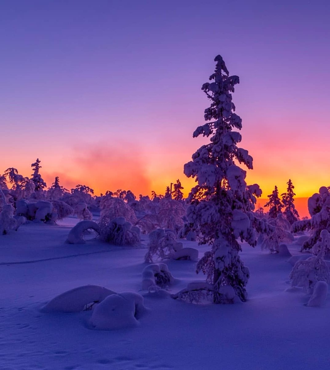 Cold and Beautiful. Sunset in our Lapland while the temperature is -36°. #Finland #inari #VisitLapland 📷 Outi Maijanen