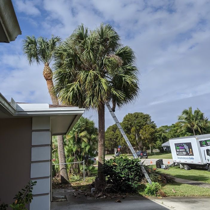 savemoretreesrv's tweet photo. Happy Hump Day!! Can you spot Jesse? π π΄
#treeservice #wellington #royalpalmbeach #landscape #Treetrimming #palmtrees #savemoretreeservice https://t.co/VLeEpHQXKG