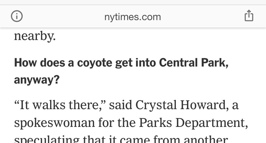MegaLalor's tweet image. Quote of the day goes to @nycparks comms queen @Crystal__Howard 😂👏