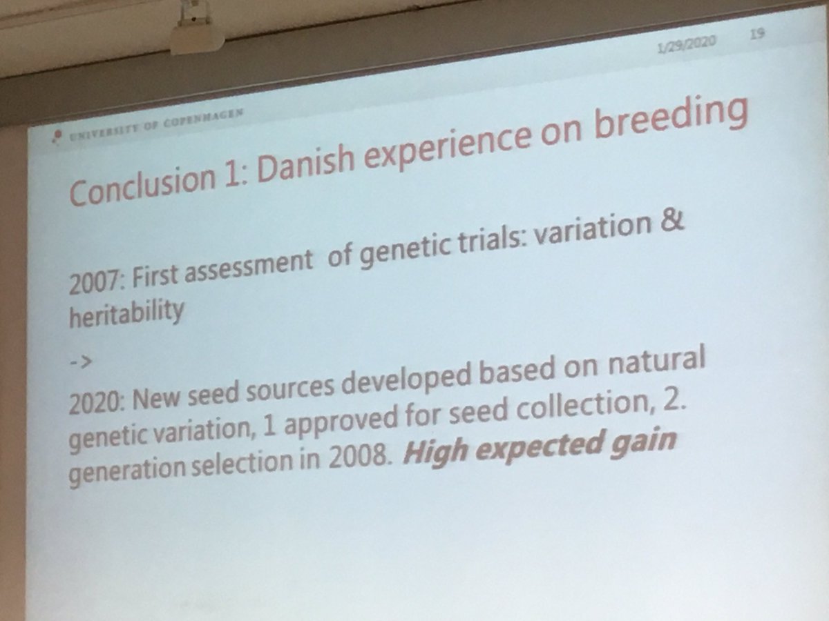 seanmhoban's tweet photo. Exciting news about genetic variability and potential for breeding Fraxinus excelsior for ash dieback resistance! And variations in the fungus with some very non virulent strains! #rescueforest https://t.co/3fFarsFWn3