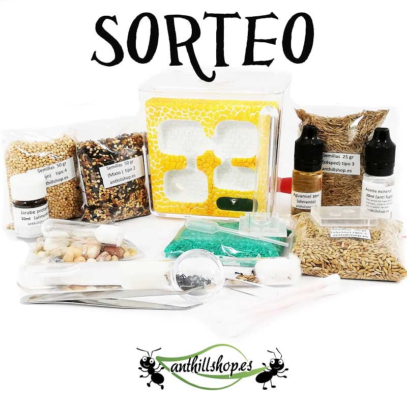 anthillshop's tweet photo. SORTEO 📣 en Instagram  🤩 en @anthillshop.es
#sorteo #gratis #participa #regalo #concurso #hormigueros #messor #sorteos #anthillshopes https://t.co/2MpaqGOTSE