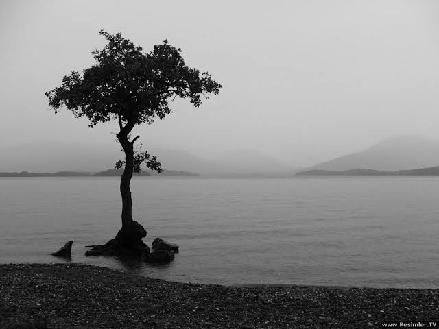 Taviz vere vere bir gün bakarsın ki hayatını, ruhunu satmışsın.

#carsamba