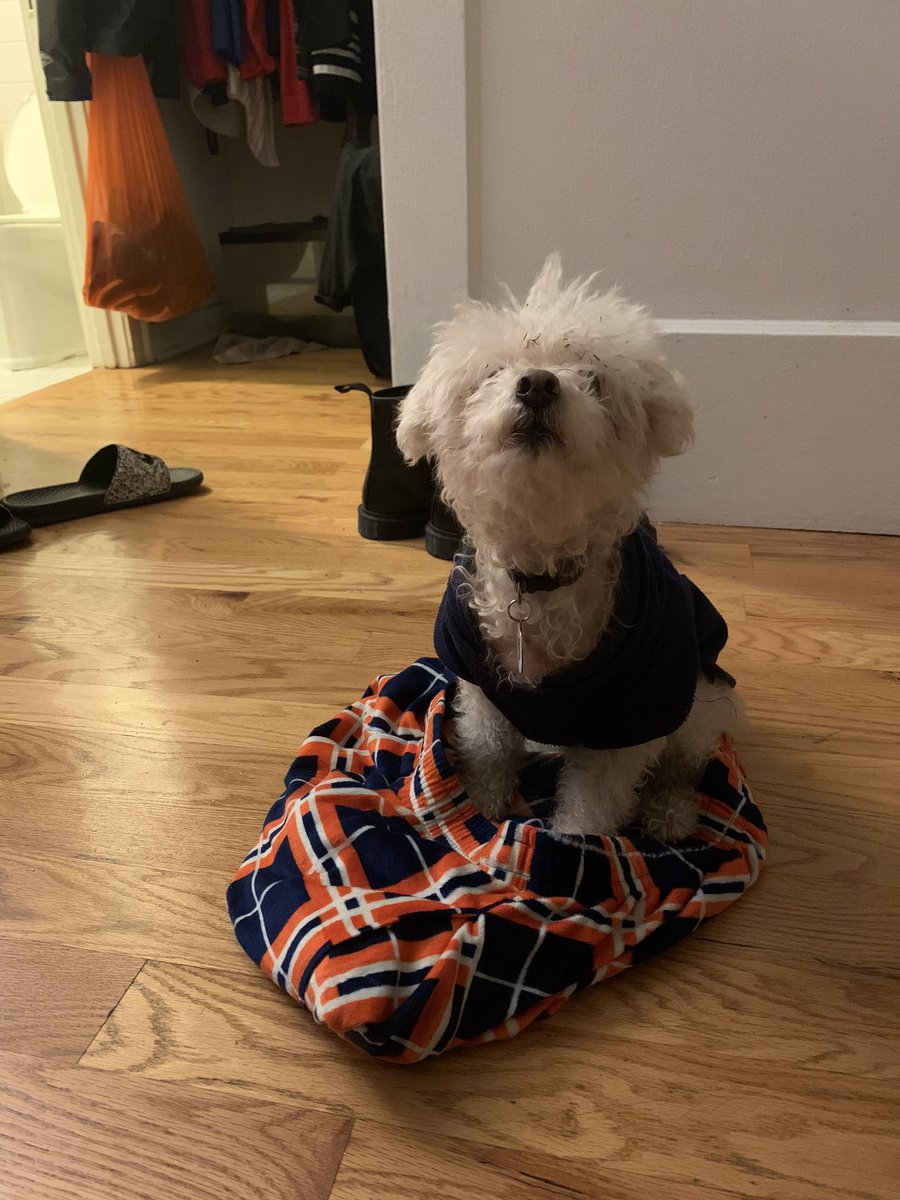 ItchyThePoodle's tweet photo. I am a goddess 🪓 https://t.co/ubj1LEDAsY