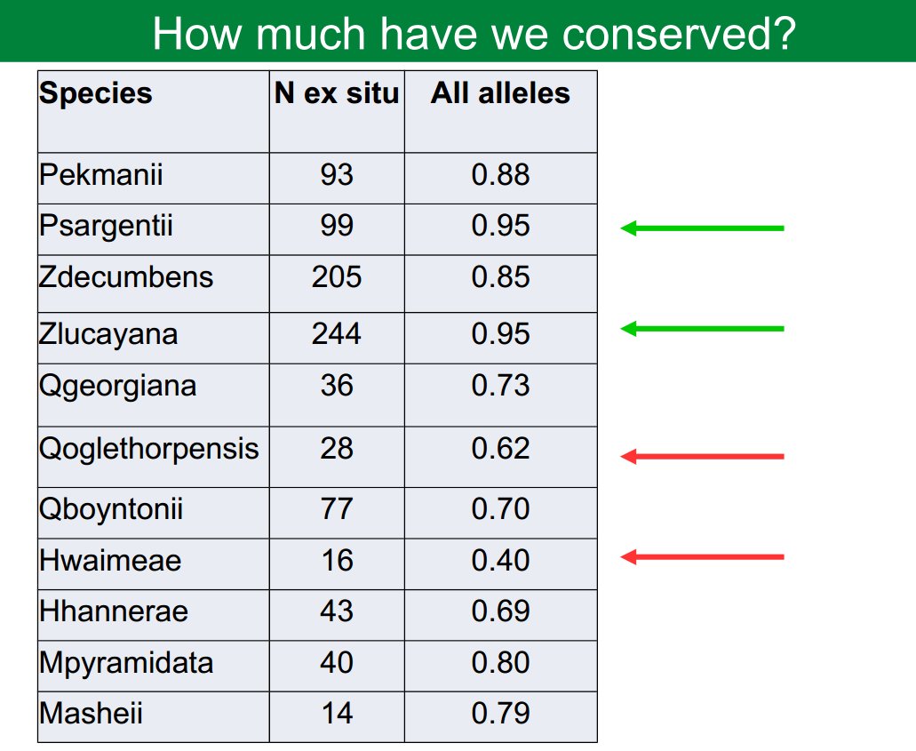 seanmhoban's tweet photo. Qs I receive after talking about optimal conservation ex situ: Are microsat alleles what we want to conserve? (No- lets do better) How often to go back to wild populations? (IMO 1-2 generations- but TBD) Can we look back at collector details to learn more? (Yes!) #rescueforest https://t.co/hdOHSzIKCh