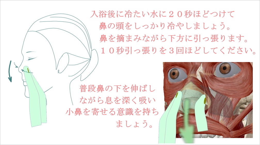 bigan_info's tweet photo. 【 団子鼻をなおす方法 】

▪️当てはまる人
✔︎ 鼻の頭だけ丸い
✔︎ 小鼻が広がる
✔︎ 豚鼻ぎみ
✔︎ いちご鼻
✔︎ 鼻がない
✔︎ 鼻の頭が潰れている https://t.co/qxSN663Xp2