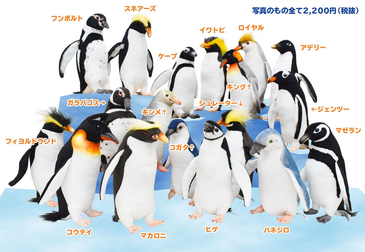 動物 生物 ぬいぐるみ リアルペンギンファミリー ジェンツーペンギン ヒナ カロラータ オンラインショップ ペンギンスポットサウンドマスコット大きな黄色いくちばしと丸い白い腹 ペンギンマスコット Foirephoto Bievre Com