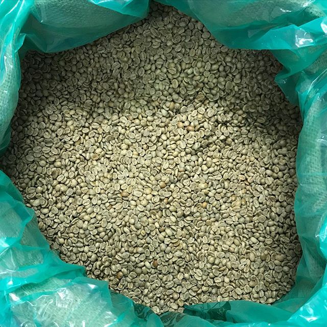 Do you know what coffee looks like before it is roasted? Well here it is! Otherwise known as green bean coffee! We pop these into Bertie (the roaster) and abracadabra, our come the gorgeous coffee beans you know and love! ift.tt/37zNyyw