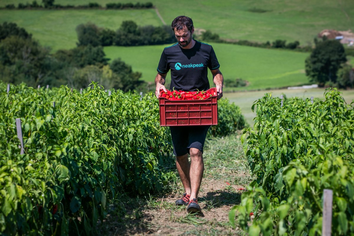 12 restaurants étoilés <a href="/guideMichelinFR/">Le guide MICHELIN</a> désormais en #Iparralde Félicitations aux promus et aux anciens qui travaillent au quotidien pour sublimer nos merveilleux produits d'Euskal Herria. Une belle vitrine pour tous les producteurs, artisans passionnés de leur terroir. Biba zuek