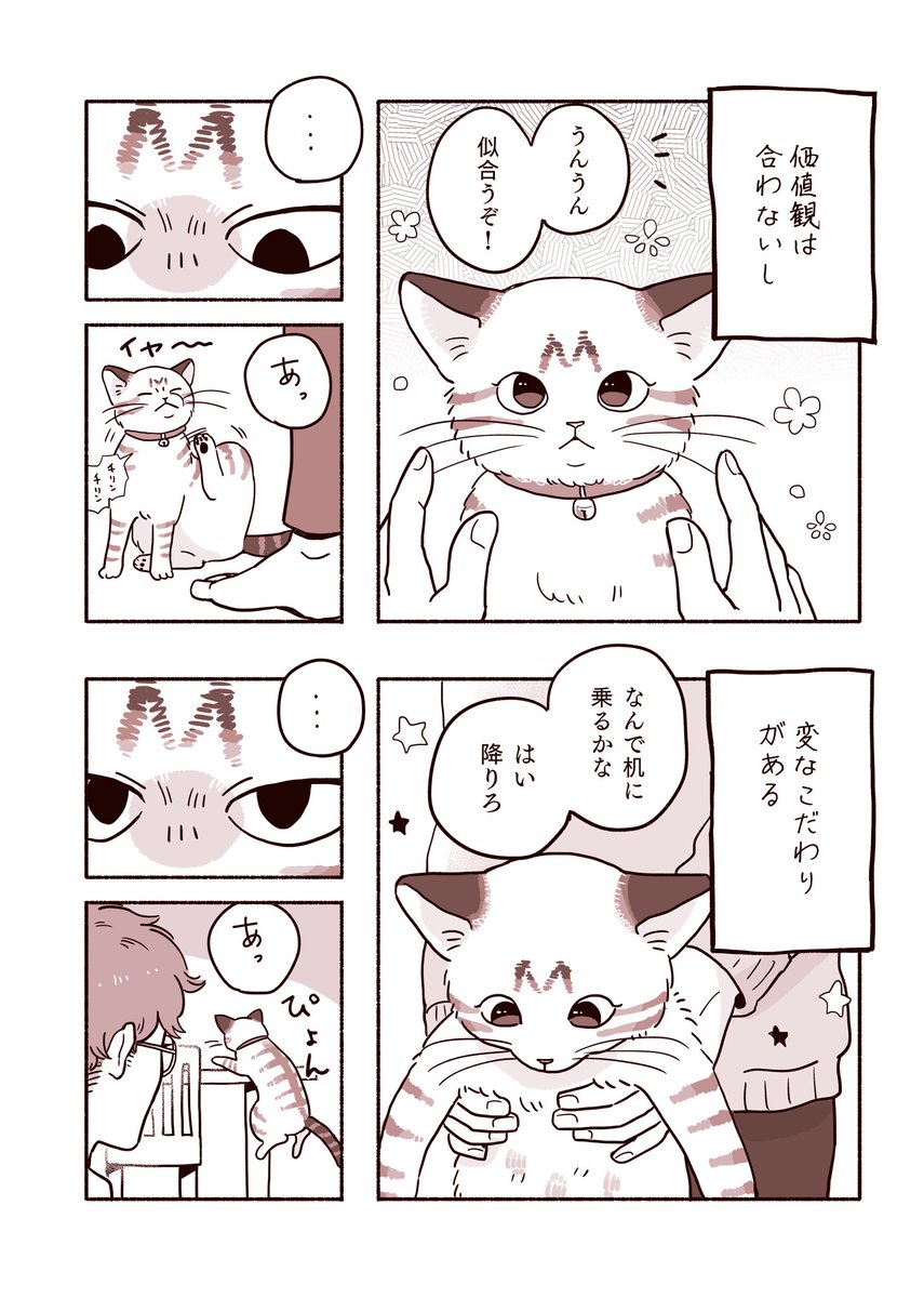 【創作漫画】同居人観察記 (1/2)
猫と暮らす話です🐈 