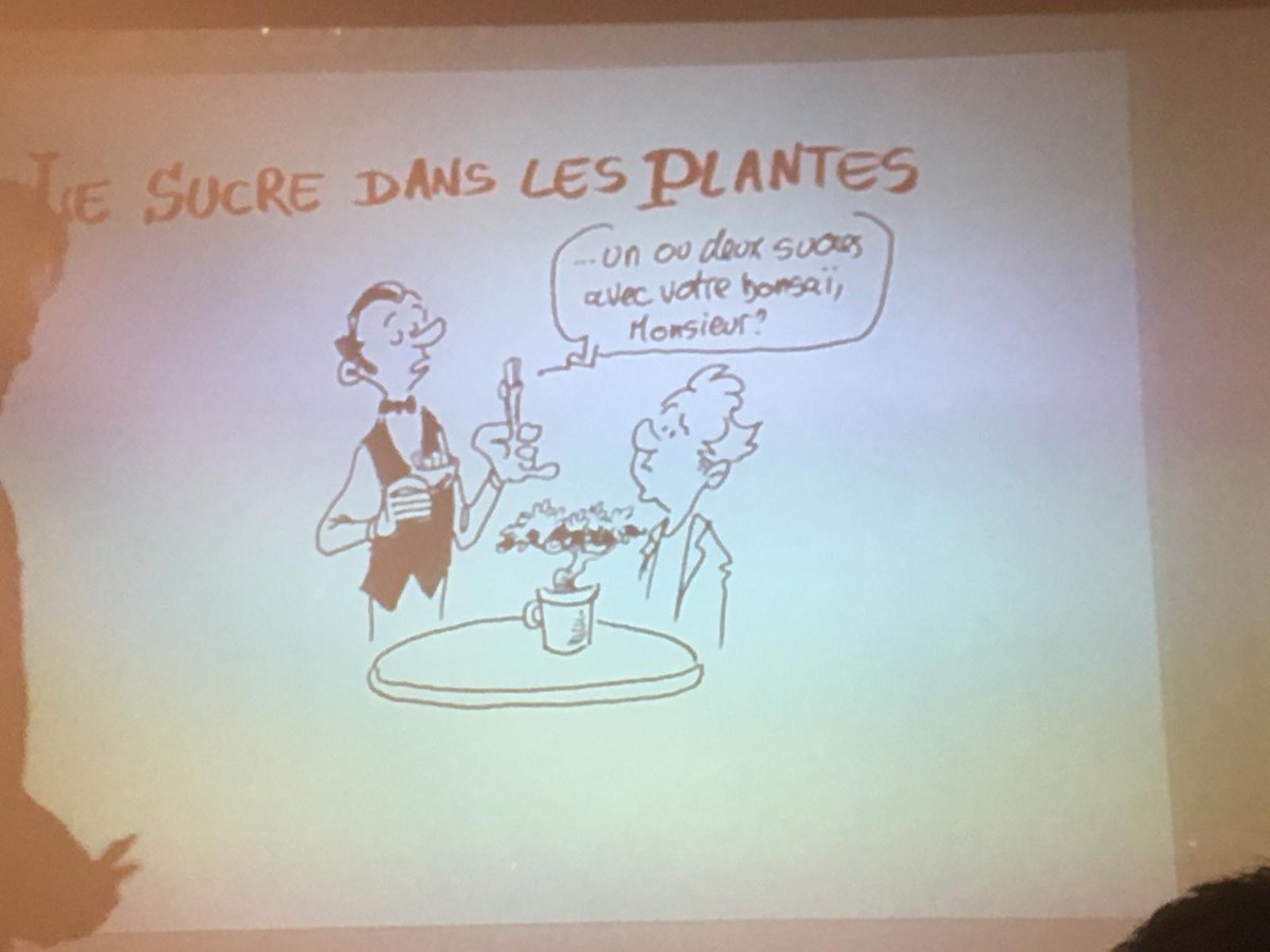 CATSteam1's tweet photo. Première conférence dessinée sur le sucre des plantes à @medsuresnes dans le cadre de #LSSL2020 @hautsdeseinefr avec @boutanox, @Stimuli_Asso et @CATSteam1, @ijpb_fr , @INRAE_IDF. Une super expérience, merci @boutanox !!! https://t.co/6nxEcbqmg9