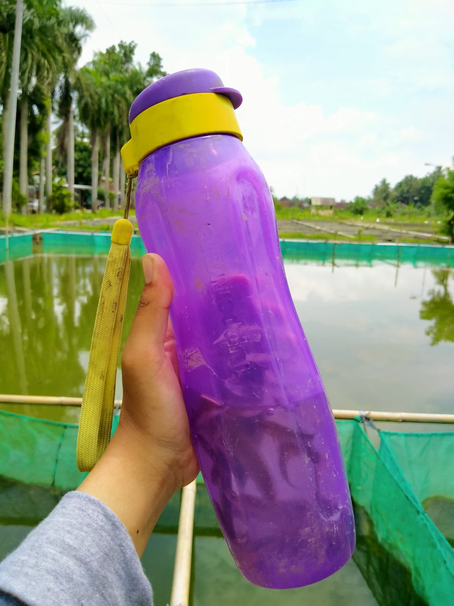 itscocho's tweet photo. @cornniff Temen gua juga sama ni naruh ikan di tupperware https://t.co/oyi6YapjtA