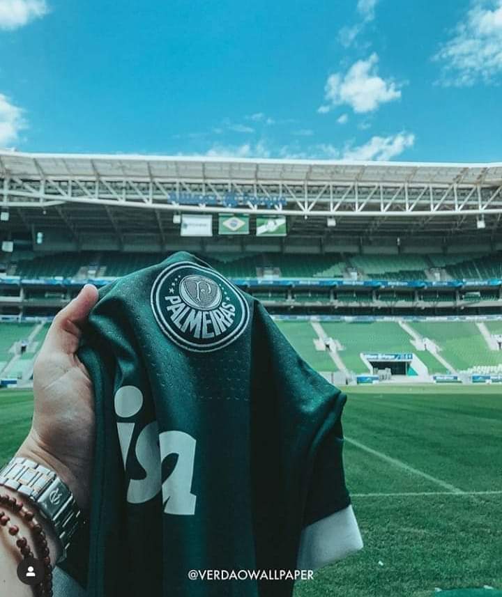 Hoje tem Palmeiras🐷💚😍