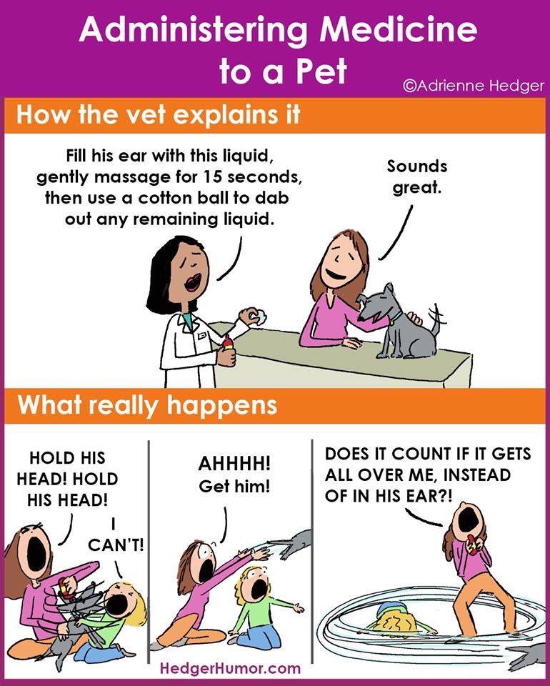 DogEnds1's tweet photo. Who can relate?
#vets #rvn #dogowners #doglife https://t.co/N10Mps9oXZ