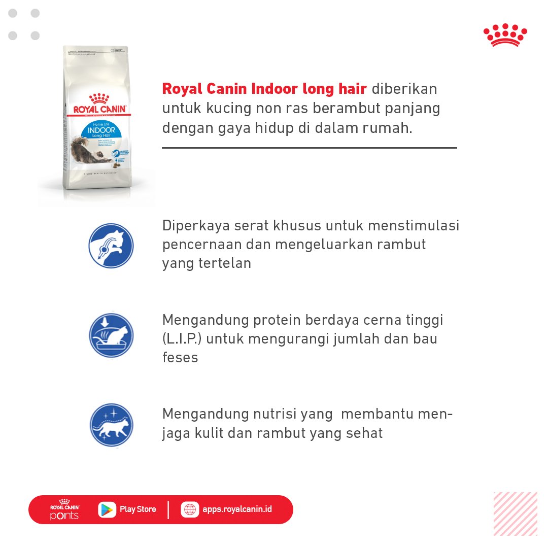 Makanan Royal Canin Untuk Anak Kucing