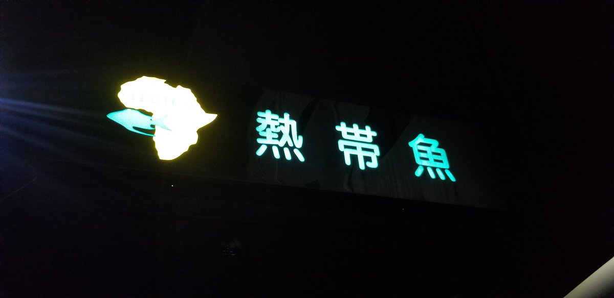 エキゾチックアフリカ