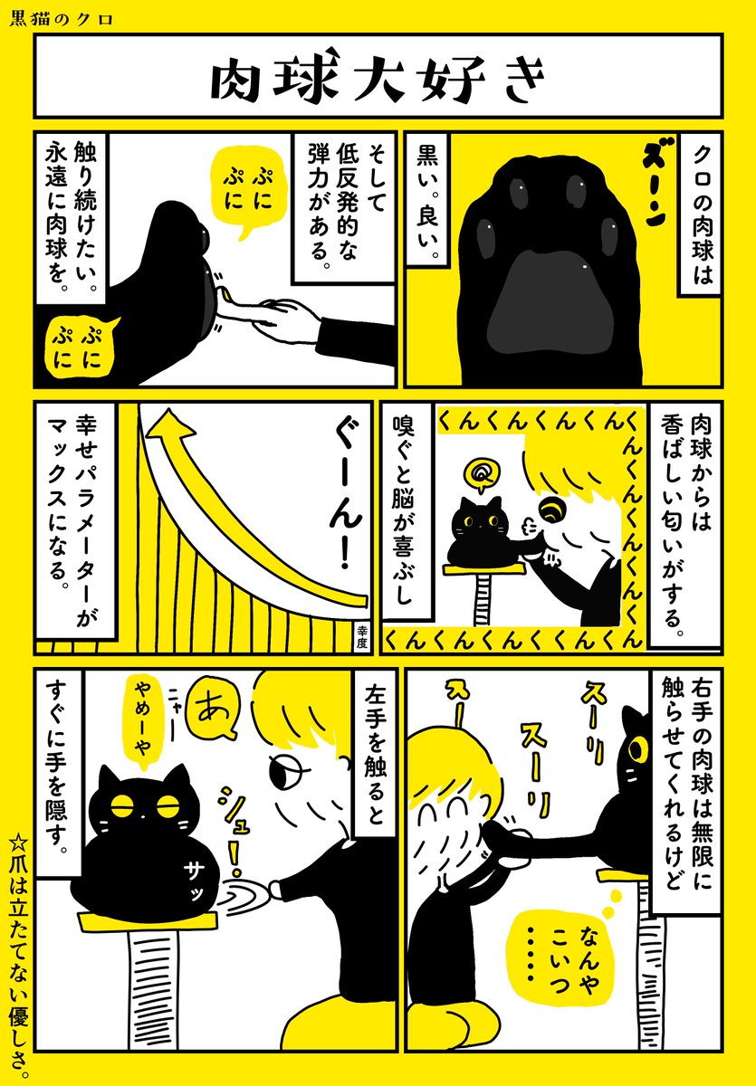 猫の手を借りたい 