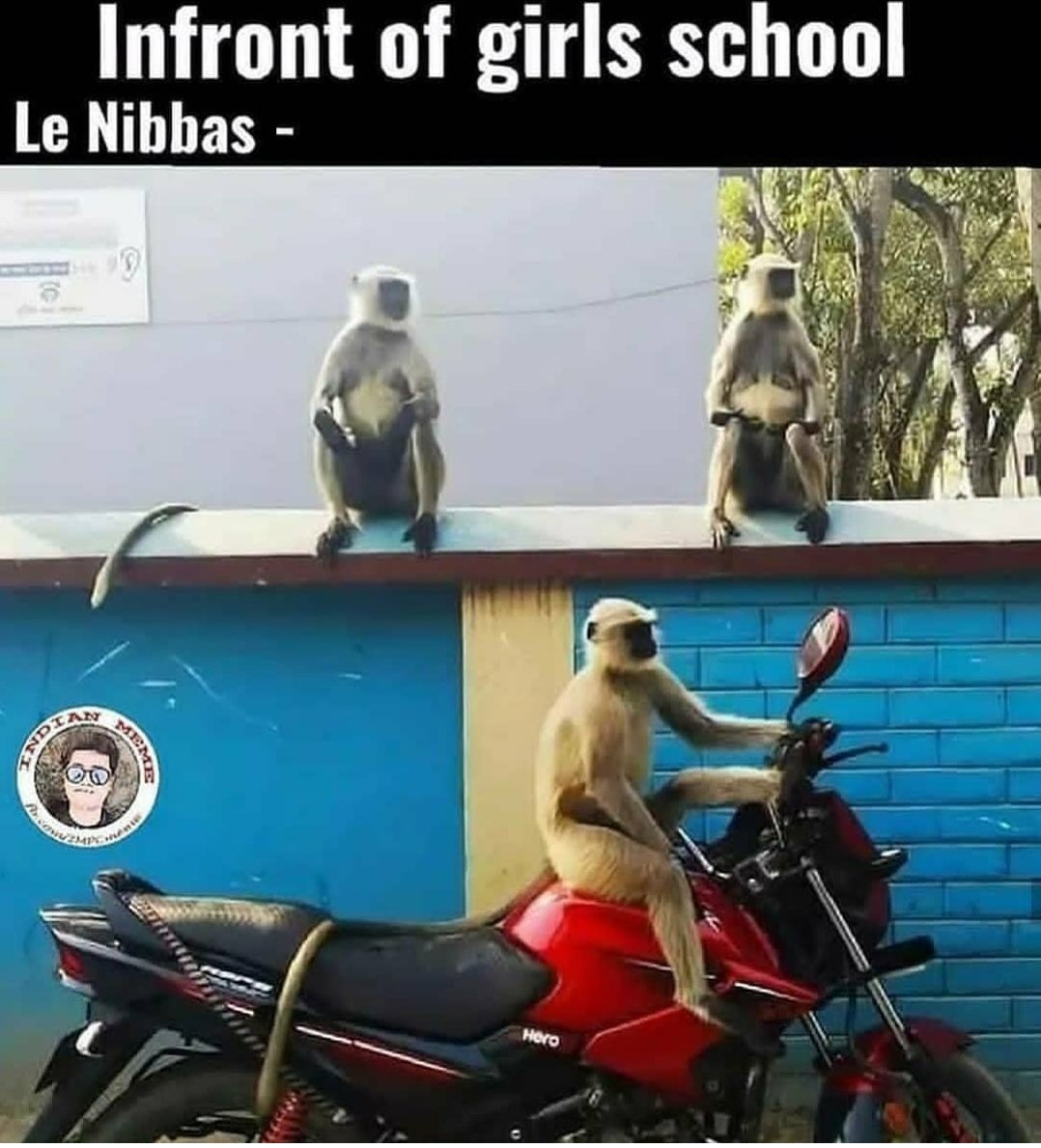 letsoilthechain's tweet image. #nibbas #llb