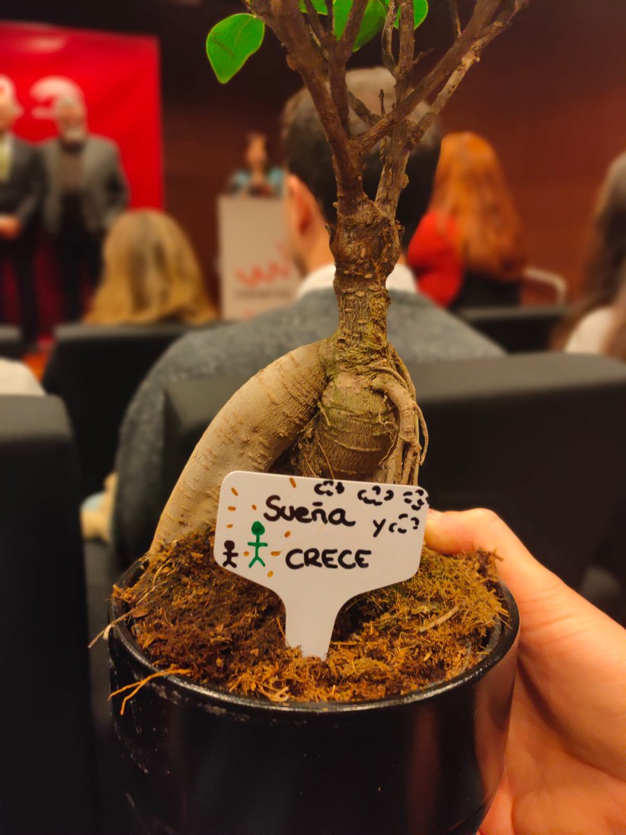 BrainsPro's tweet photo. Nos han dado la bienvenida con este precioso bonsái que crecerá con nosotros. ¡¡Muchas gracias!!
@ProgramaMinerva @EconomiaAnd @VodafoneEmpresa
#emprendedores #ProgramaMinerva2020 #EmprendeconMinerva #startups #emprender https://t.co/HJakLD4VOQ