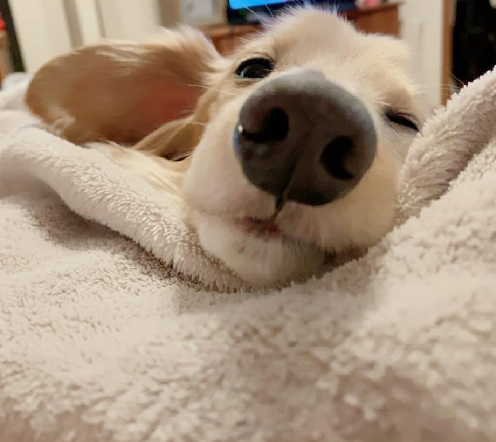 mesmerizingmina's tweet image. Who does it better?