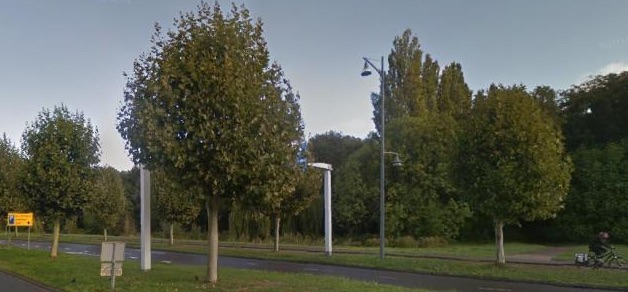 Bomenmakelaar tweet media