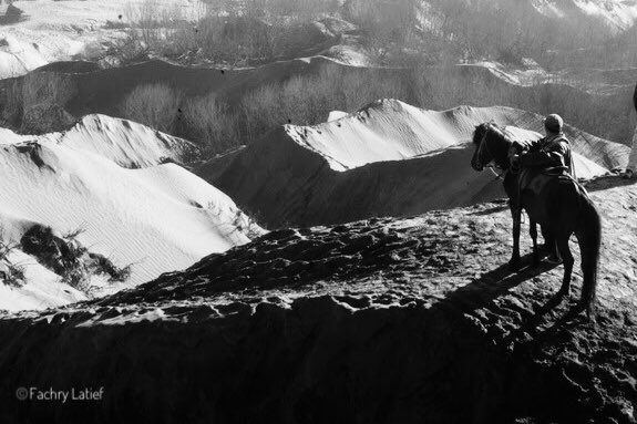 fachrylatief's tweet photo. It’s not about how many times you fall, but how many times you rise.
Photo ©Fachry Latief
Gunung Bromo 2011
#blackandwhitephotography #fineartphotography #horse #mountains #bromomountain #bwphotography #bromotengger #landscapephotography https://t.co/1t0wdRvDel