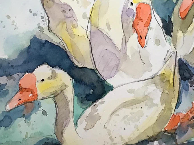 琵琶湖浜大津のミシガン乗り場のアヒル。限りなく少ない線と色でね^ ^ #Watercolor #スケッチ #水彩画 #ワークショップ #京都の絵画教室 #風景画 #透明水彩 #京都水彩画塾 