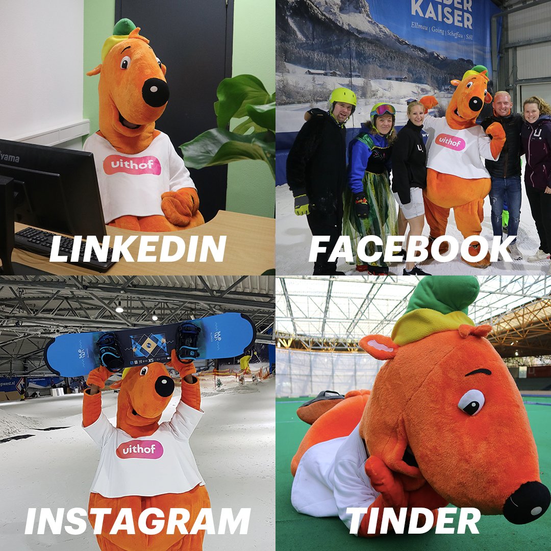 De Uithof tweet media