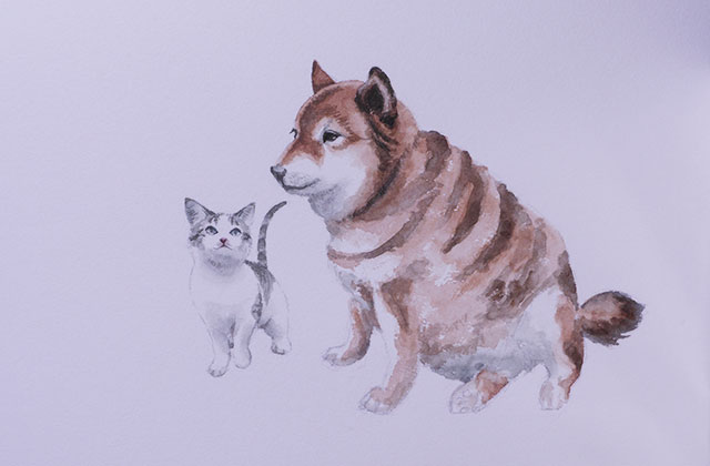 Twoucan 犬と猫の描き方 の注目ツイート イラスト マンガ