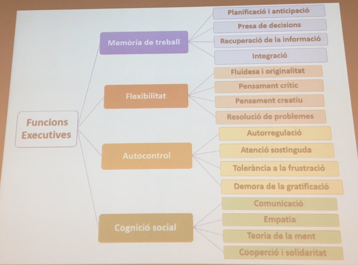 jmolins1's tweet photo. 3a sessió #PIOEmnr1920 gaudint de l’expertesa @martaportero3 #UAB. La neurociència i les funcions executives ens aporten estratègies per facilitar aprenentatges competencials #àmbitmatèria #COMaprenem @modelSCAP #OrientacióEducativa https://t.co/859GrXP31x