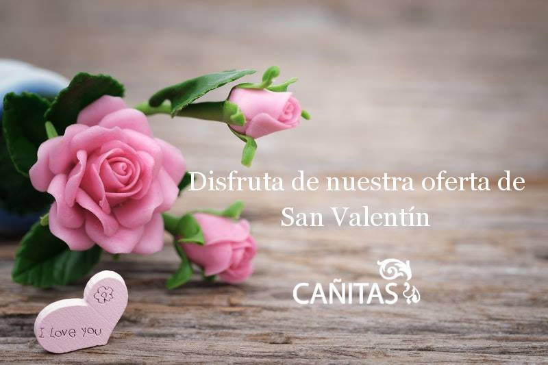 HotelCanitas's tweet photo. Regala momentos a esa persona especial y dile que la quieres. En @HotelCanitas te ofrecemos el mejor plan para que disfrutéis de momentos únicos en la mejor compañía. #gastronomía #hotelcañitas #SanValentín 
 ➡ https://t.co/f3pB8C7Op1 https://t.co/KNnePXq5wC