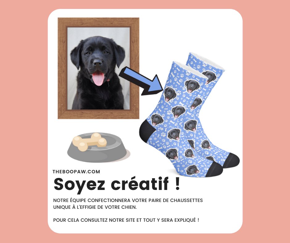 anzeldesigns's tweet photo. Chez BooPaw, nous vous proposons de créer vos propres chaussettes personnalisées avec la tête de votre animal🐶➡ (une version chat😺 est disponible). 
Laissez vous guider sur notre site ➡️ https://t.co/BwPRvo7Zd9 et surtout n'hésitez pas si vous avez des questions
A bientôt 😘 https://t.co/OKp8unH4eN