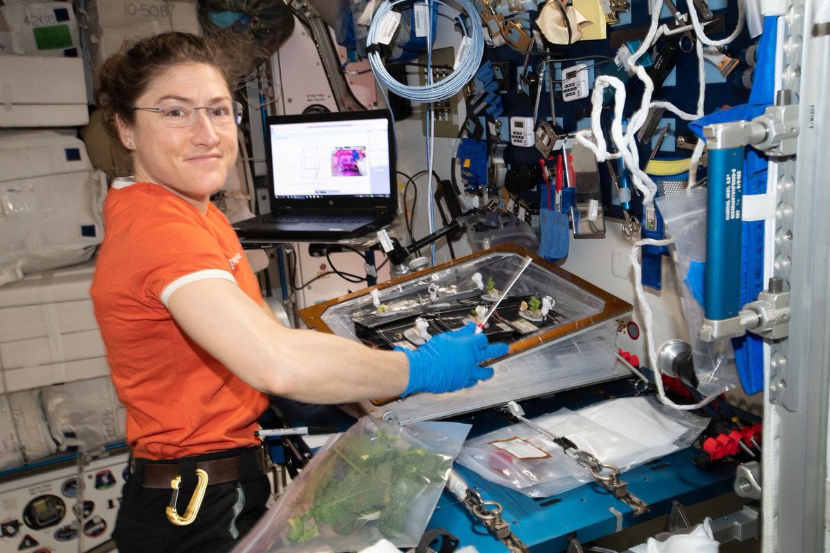 chouchoutv's tweet photo. Happy Birthday to astronaut Christina Koch! @Astro_Christina turns 41 today. The @NCState alum will celebrate at the ISS & return to Earth Feb 6th! Sheโs been in orbit for nearly 11 months โ longest spaceflight by a woman. Awesome to follow her journey! #spaceboss #wral https://t.co/zDtwwQt3F5