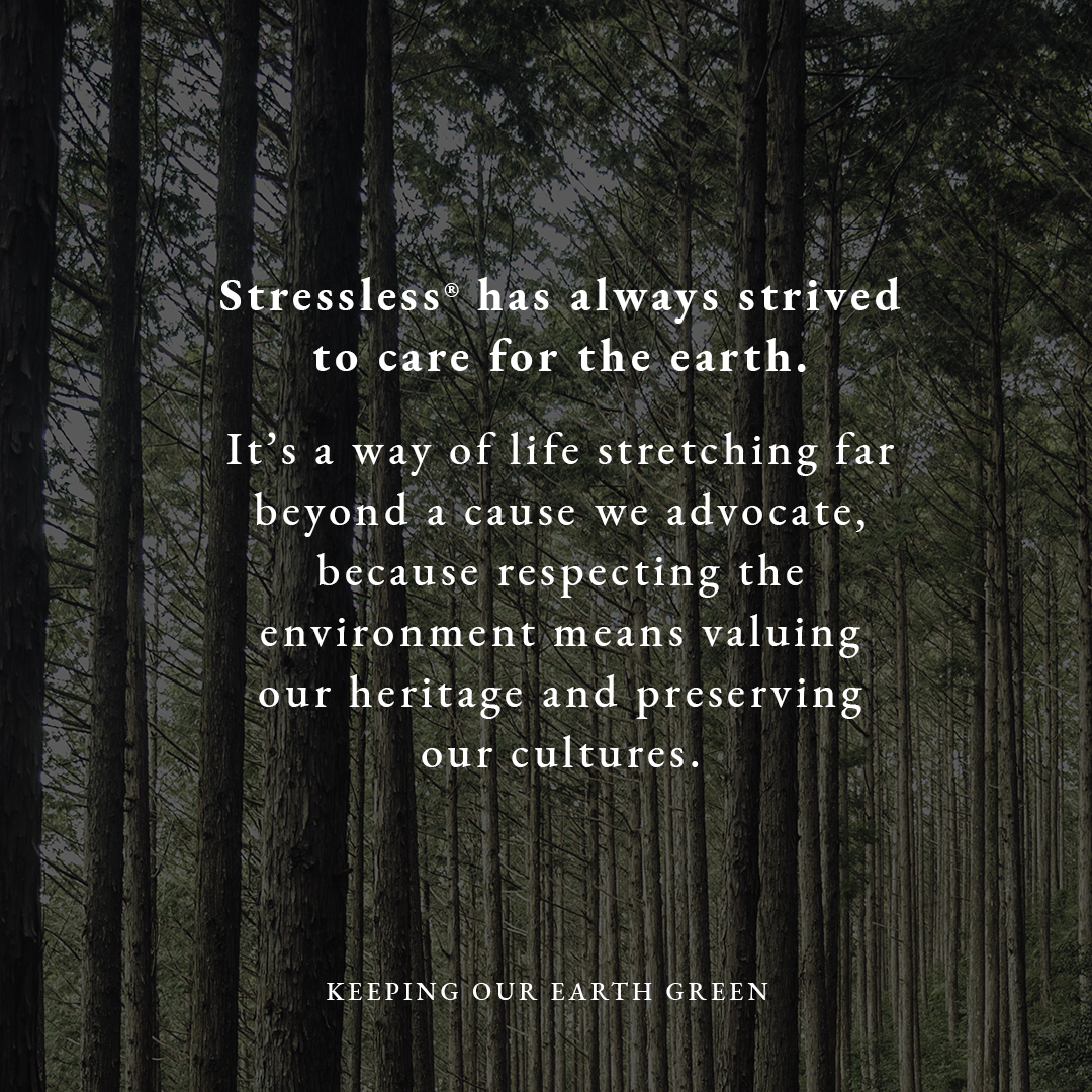 To further their existing environment commitment Stressless® will plant a tree for every seat sold during the Winter Sale.🌲
#Stollers #Cumbria #Stressless