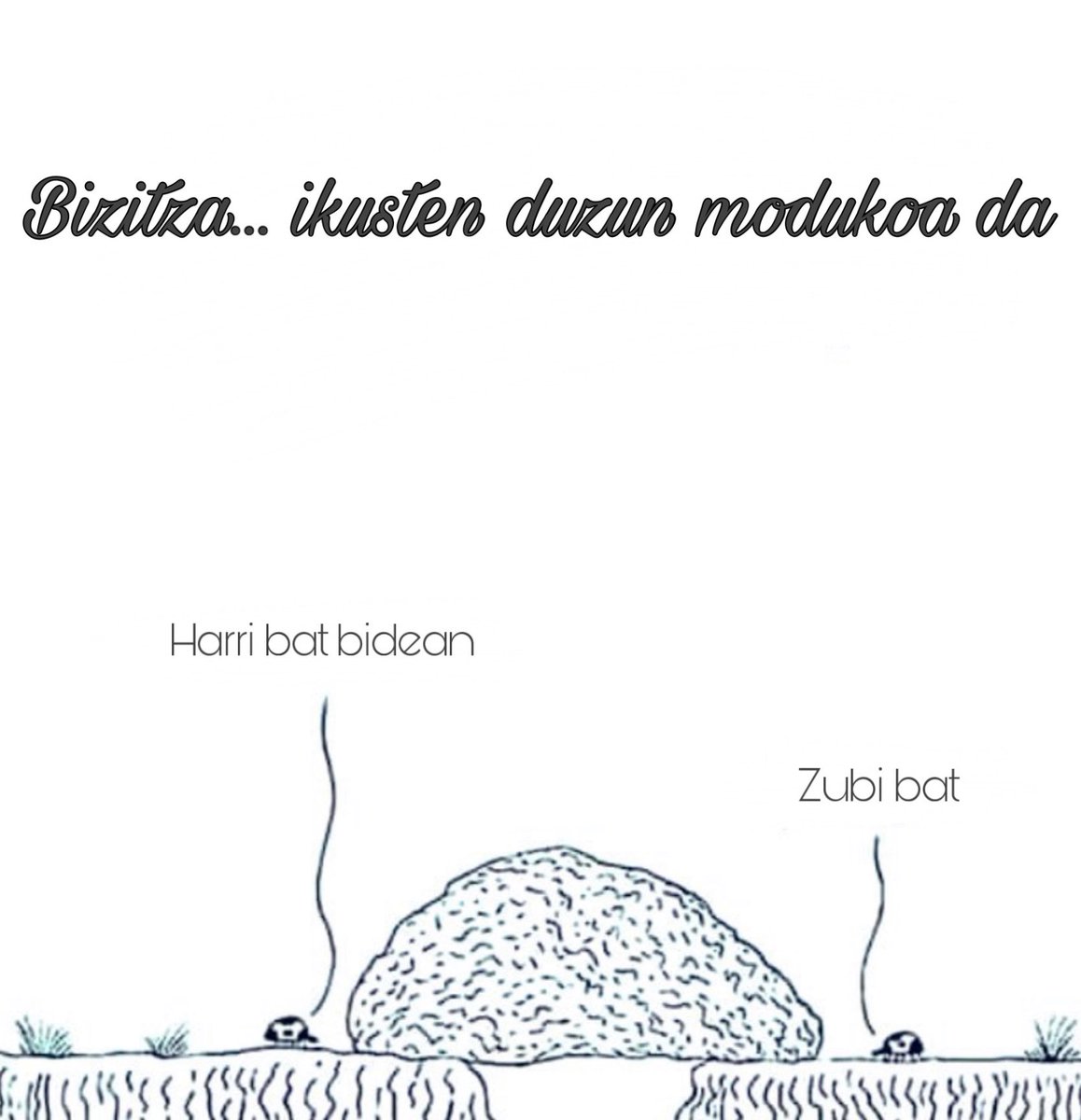 Bizitza... ikusten duzun modukoa da.