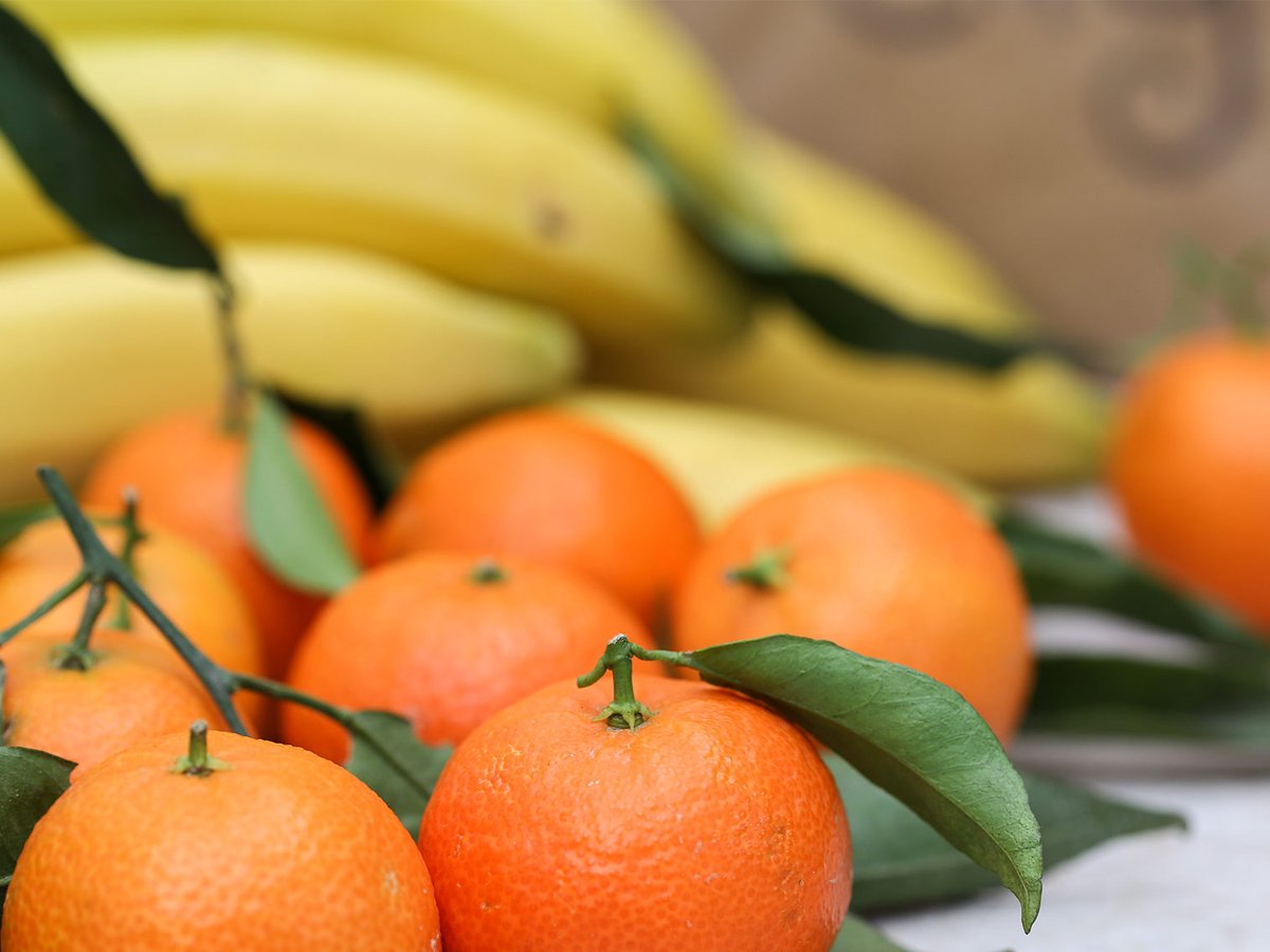 Prenez le temps de faire une petite pause avec vos collègues pour savourer le retour des clémentines !

Elles sont accompagnées d'oranges BIO, de bananes BIO (commerce équitable), de pommes et de fruits secs croquants BIO. 🍊🍏